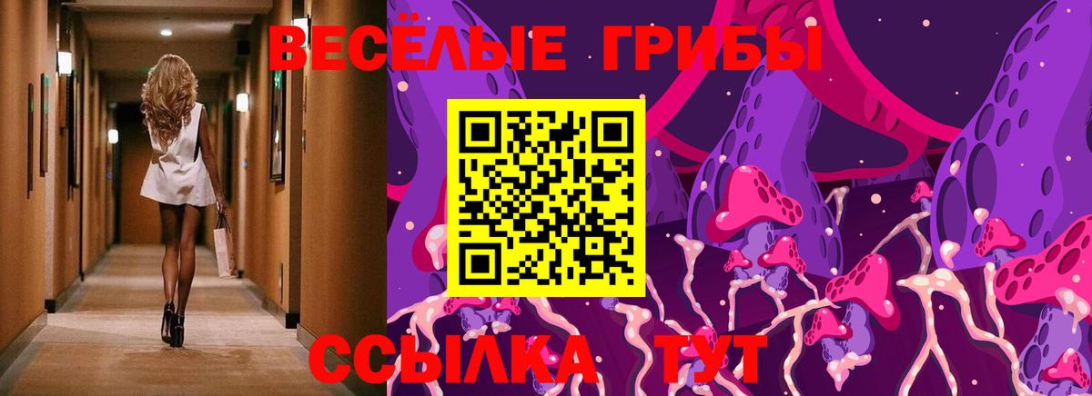 Галлюциногенные грибы прущие грибы Малгобек