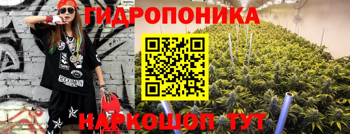 Бошки марихуана OG Kush  Марихуана конопля  Вход с VPN  Бошки марихуана индика  Малгобек 